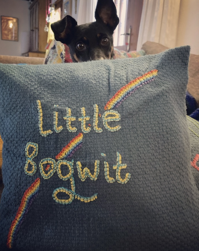 What exactly is a ‘Bogwit’? 🧐