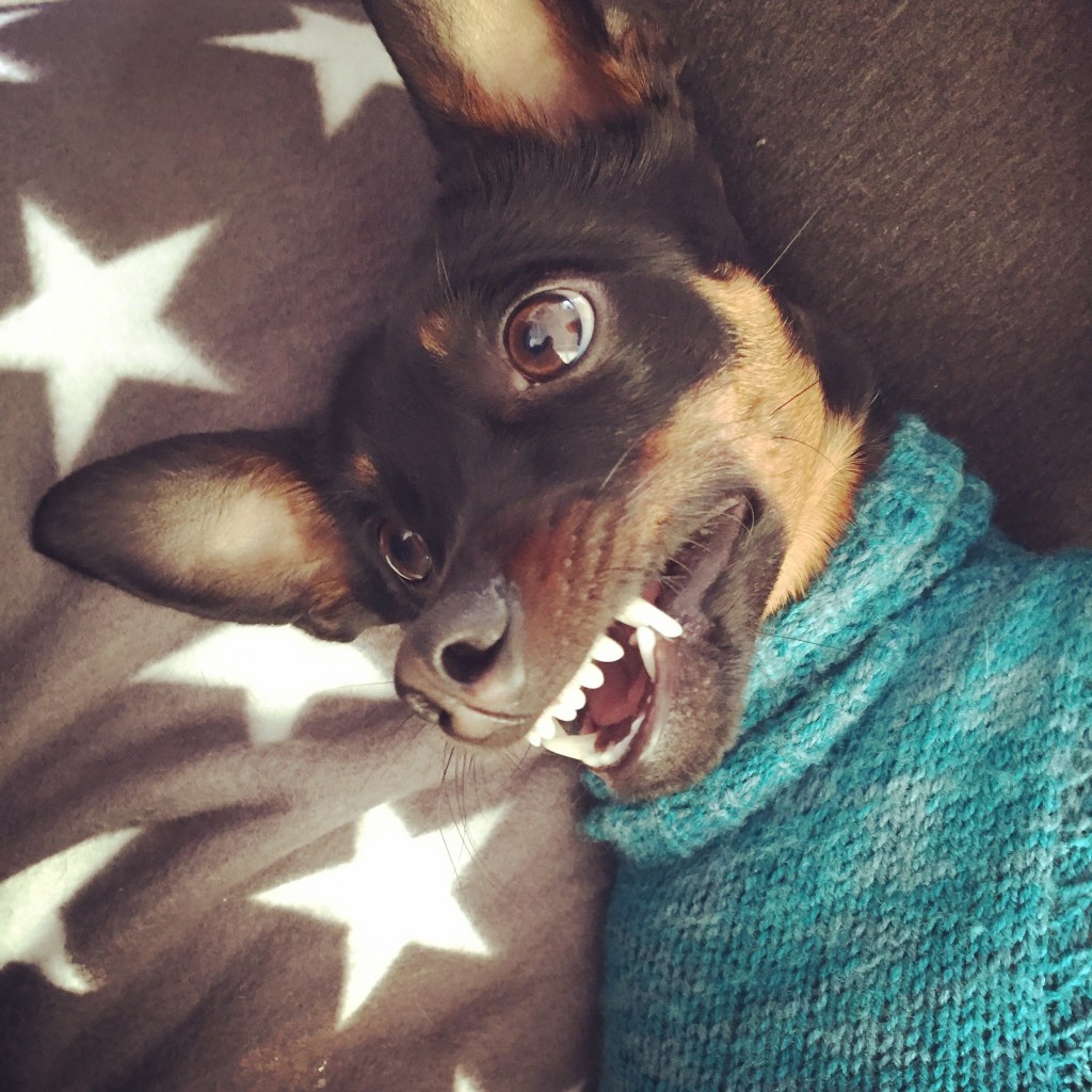 Peoples who don’t do smiles with their eyes&nbsp;👁️