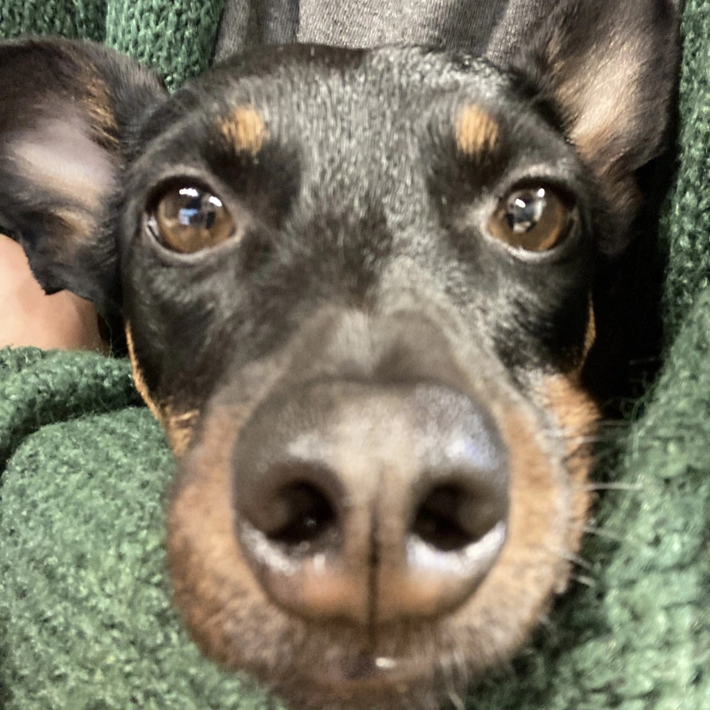 Eat, friends. I wish I could do more eatings&nbsp;🍗